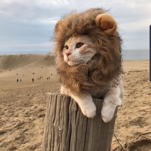 Meet your Posher, Iampri - Picture 1 of 1